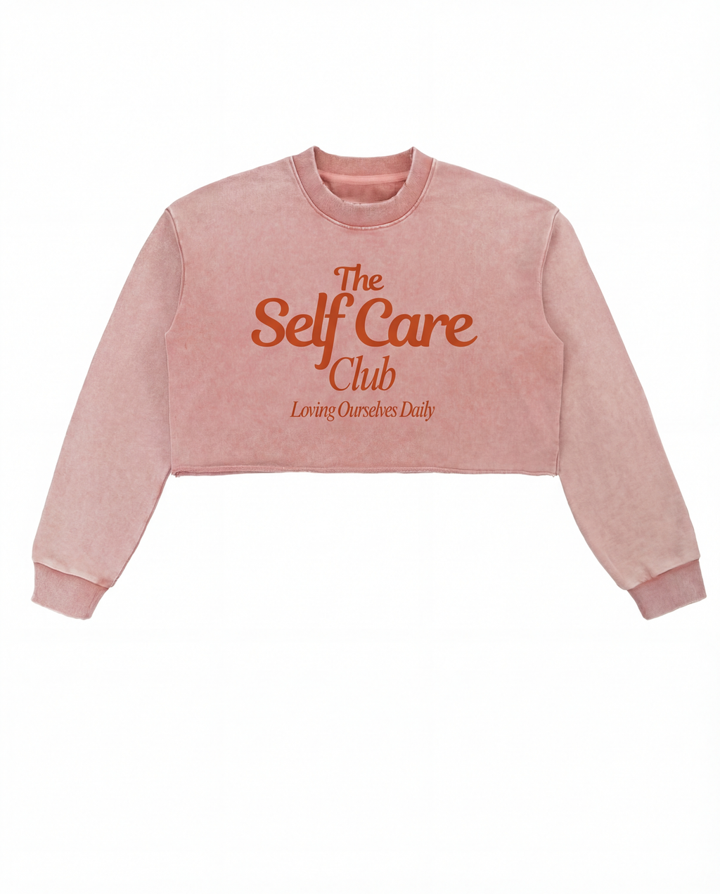 At The Self Care Club | Snow Washed Raw Edge Cropped Sweatshirt