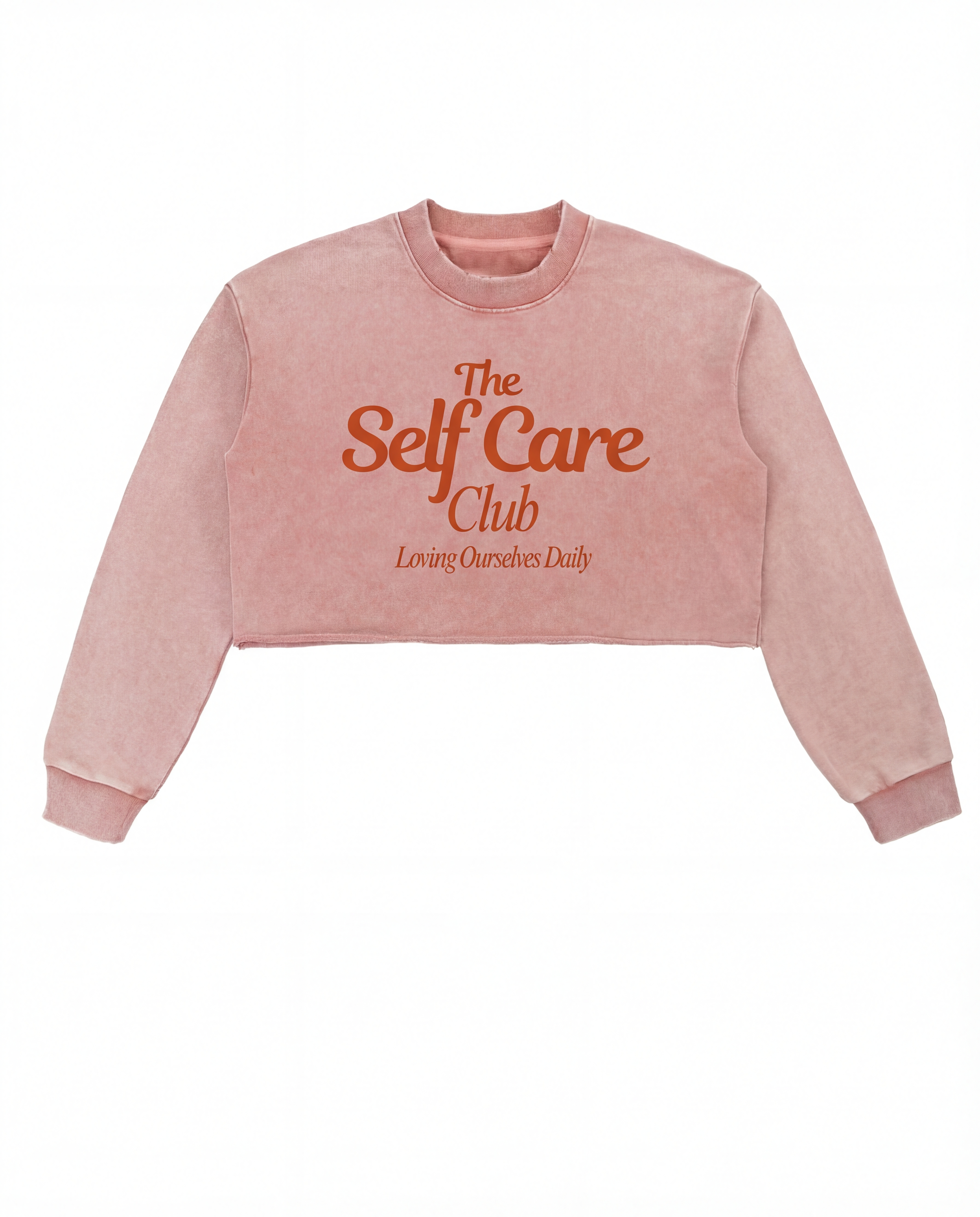 At The Self Care Club | Snow Washed Raw Edge Cropped Sweatshirt